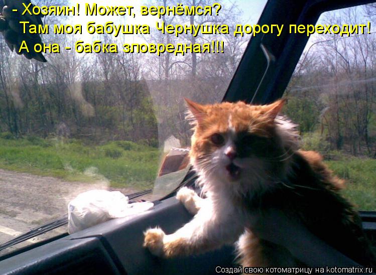 - Хозяин! Может, вернёмся? Там моя бабушка Чернушка дорогу переходит! А она - бабка зловредная!!!... Котоматрица: - Хозяин! Может, вернёмся? Там моя бабушка Чернушка дорогу переходит! А она - бабка зловредная!!!