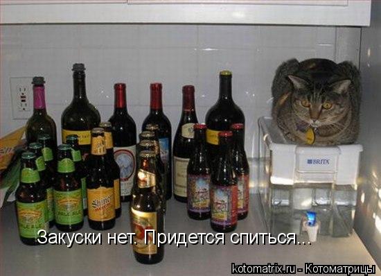 Закуски нет. Придется спиться...... Котоматрица: Закуски нет. Придется спиться...