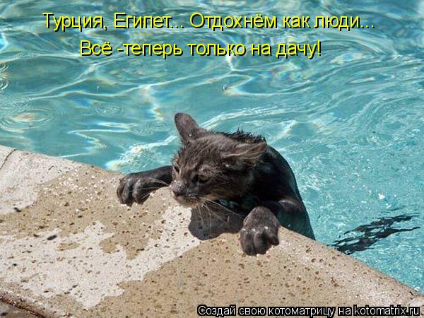 Турция, Египет... Отдохнём как люди... Всё -теперь только на дачу!... Котоматрица: Турция, Египет... Отдохнём как люди... Всё -теперь только на дачу!