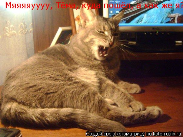 Мяяяяуууу, Тёма, куда пошёл, а как же я?... Котоматрица: Мяяяяуууу, Тёма, куда пошёл, а как же я?