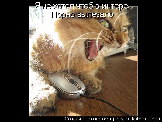 Я не хотел чтоб в интере Порно вылезало... Котоматрица: Я не хотел чтоб в интере Порно вылезало