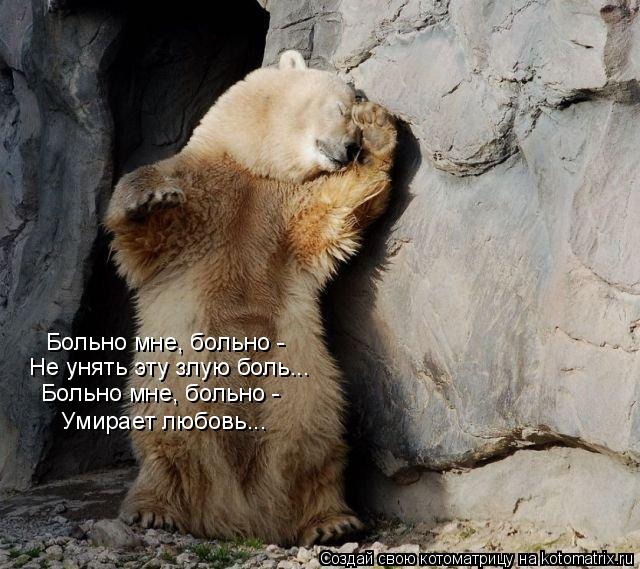 Больно мне, больно - Не унять эту злую боль... Больно мне, больно - Умирает любовь...... Котоматрица: Больно мне, больно - Не унять эту злую боль... Больно мне, больно - Умирает любовь...