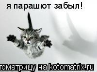 Котоматрица: я парашют забыл!