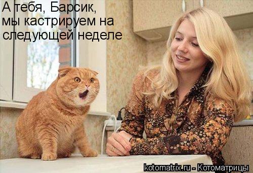 Котоматрица: А тебя, Барсик, мы кастрируем на  следующей неделе
