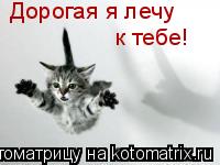 Котоматрица: Дорогая я лечу  к тебе!