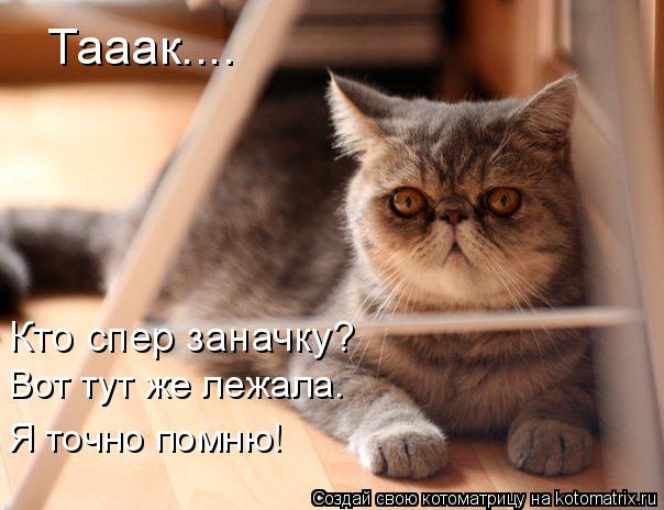Котоматрица: Тааак....  Кто спер заначку? Вот тут же лежала. Я точно помню!