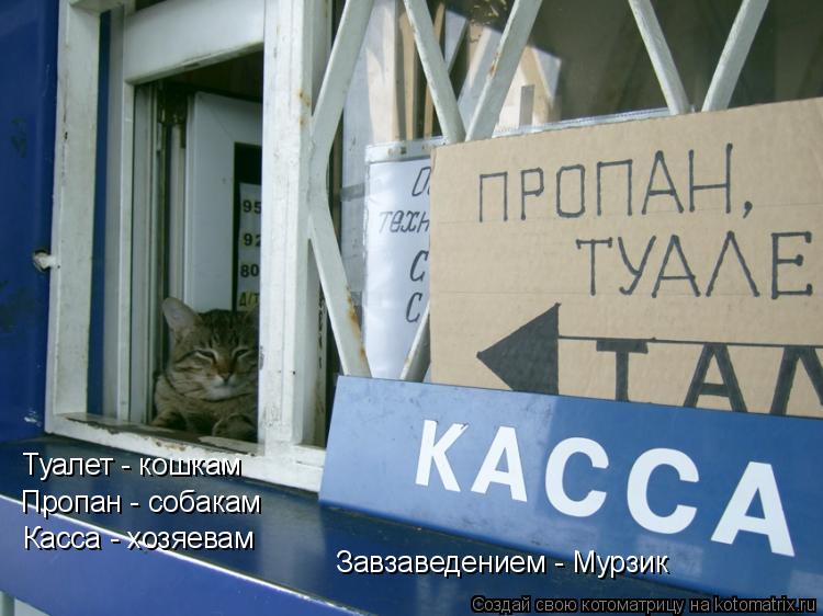 Котоматрица: Туалет - кошкам Пропан - собакам Касса - хозяевам Завзаведением - Мурзик