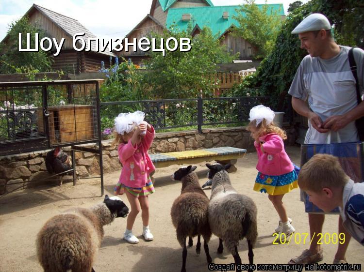 Котоматрица: Шоу близнецов