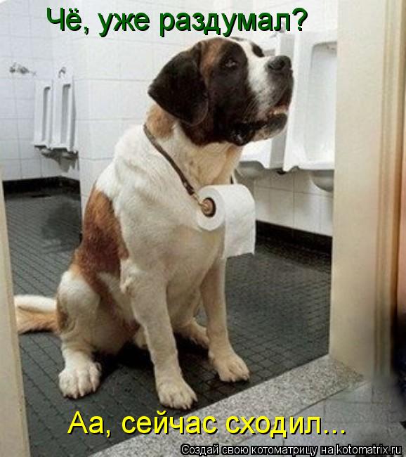 Котоматрица: Чё, уже раздумал? Аа, сейчас сходил...