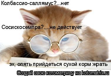 Колбассио-саллямус?...нет Сосискосемпра?....не действует эх, опять прийдеться сухой корм жрать... Котоматрица: Колбассио-саллямус?...нет Сосискосемпра?....не действует эх, опять прийдеться сухой корм жрать