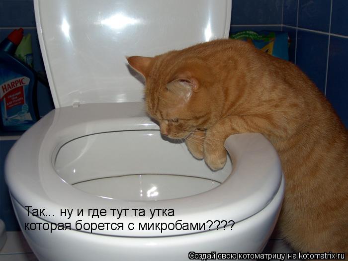 Так... ну и где тут та утка которая борется с микробами????... Котоматрица: Так... ну и где тут та утка которая борется с микробами????