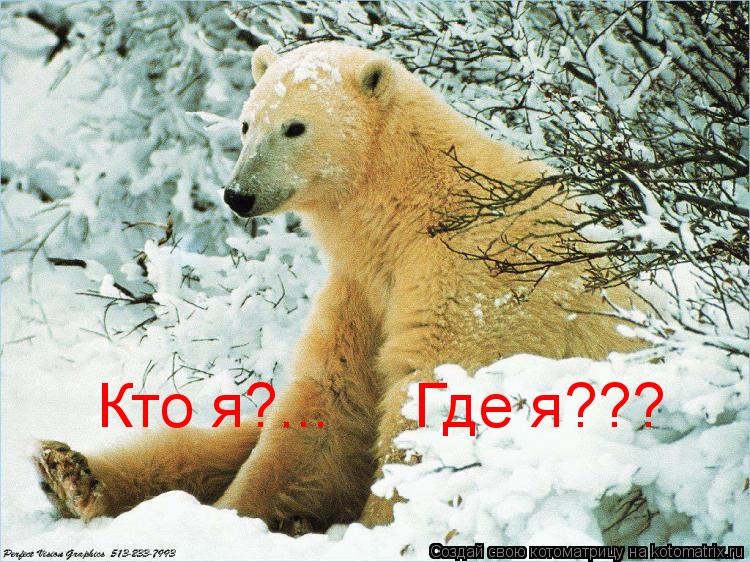 Кто я?... Где я???... Котоматрица: Кто я?... Где я???