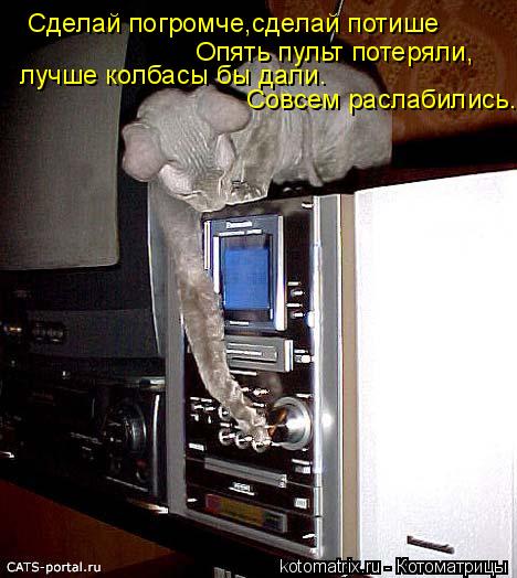 Котоматрица: Сделай погромче,сделай потише Опять пульт потеряли, лучше колбасы бы дали. Совсем раслабились.