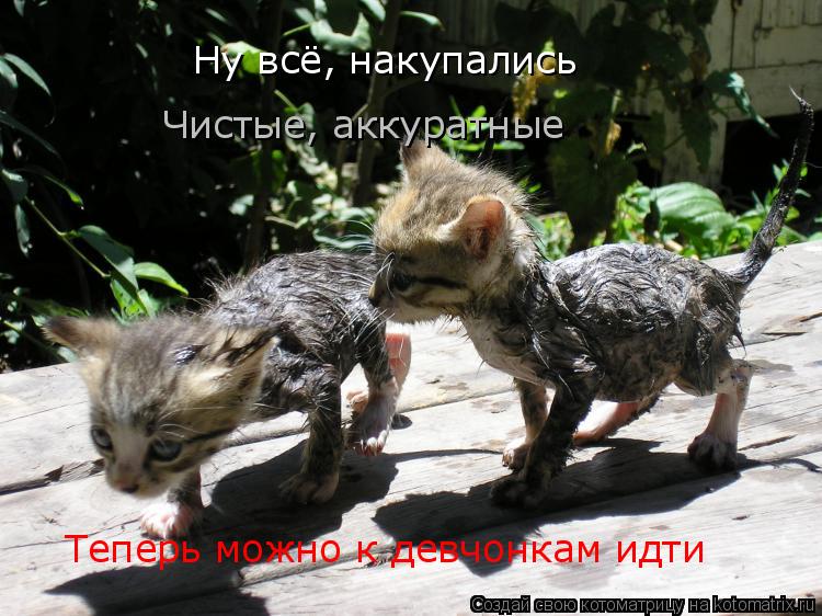 Котоматрица: Ну всё, накупались Теперь можно к девчонкам идти Чистые, аккуратные
