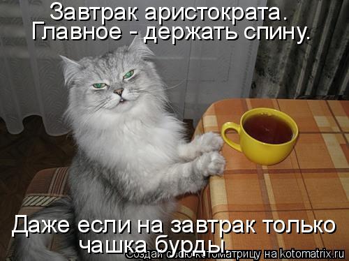 Котоматрица: Завтрак аристократа. Главное - держать спину. Даже если на завтрак только чашка бурды.