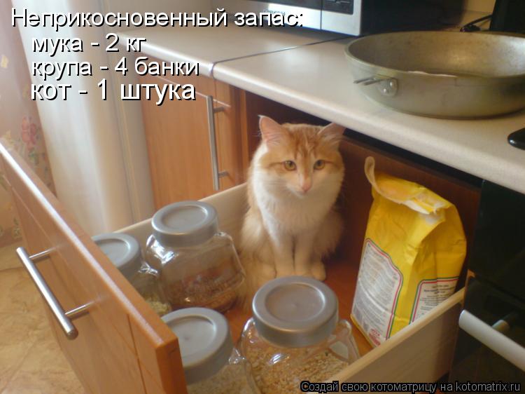 Котоматрица: Неприкосновенный запас: мука - 2 кг крупа - 4 банки кот - 1 штука