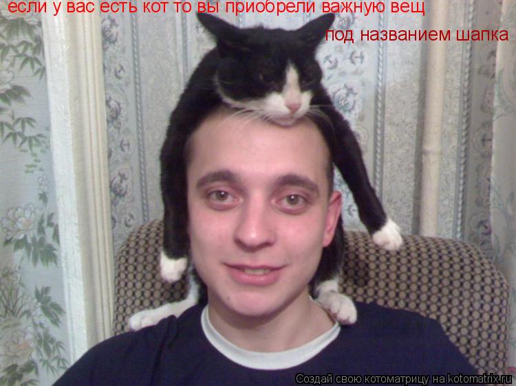 Котоматрица: если у вас есть кот то вы приобрели важную вещ под названием шапка