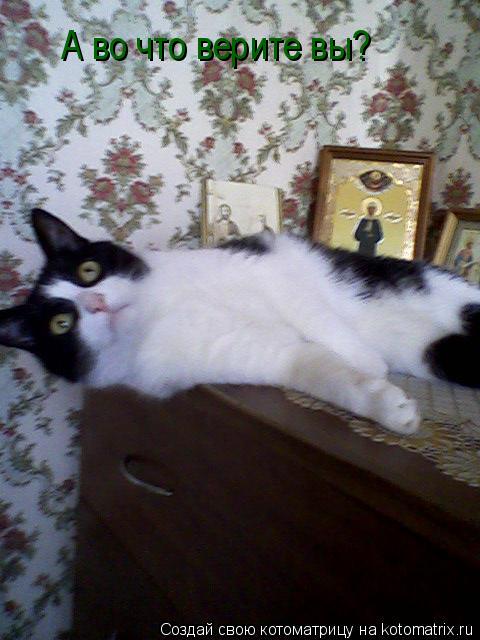 Котоматрица: А во что верите вы?