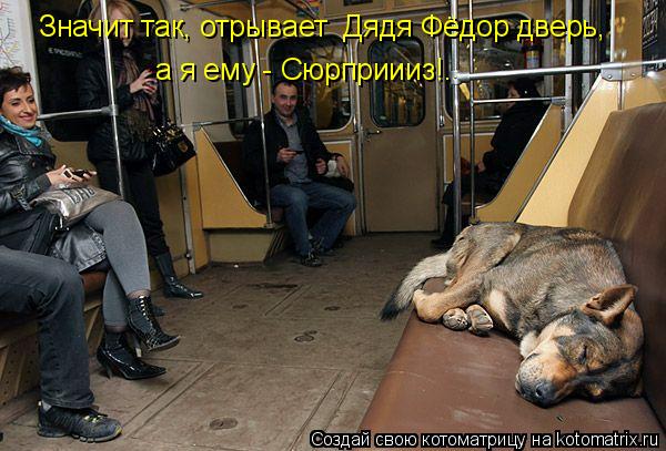 Котоматрица: а я ему - Сюрприииз!. Значит так, отрывает  Дядя Фёдор дверь,