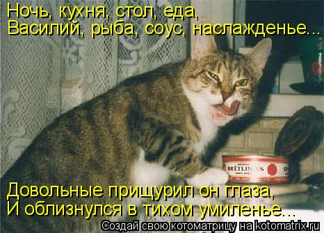 Котоматрица: Ночь, кухня, стол, еда, Василий, рыба, соус, наслажденье... Довольные прищурил он глаза, И облизнулся в тихом умиленье...