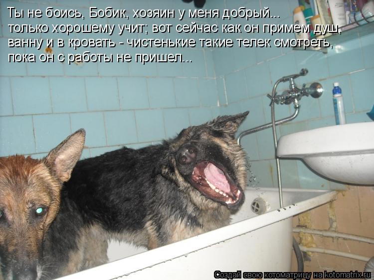 Ты не боись, Бобик, хозяин у меня добрый... только хорошему учит; вот сейчас как он примем душ, ванну... Котоматрица: Ты не боись, Бобик, хозяин у меня добрый... только хорошему учит; вот сейчас как он примем душ, ванну и в кровать - чистенькие такие телек смотр