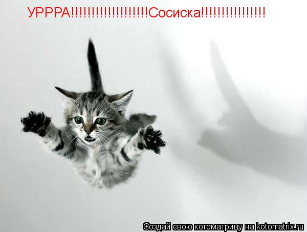 УРРРА!!!!!!!!!!!!!!!!!!!Сосиска!!!!!!!!!!!!!!!!... Котоматрица: УРРРА!!!!!!!!!!!!!!!!!!!Сосиска!!!!!!!!!!!!!!!!