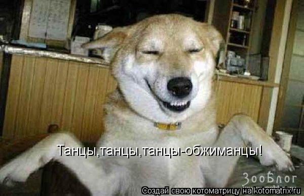 Котоматрица: Танцы,танцы,танцы-обжиманцы!