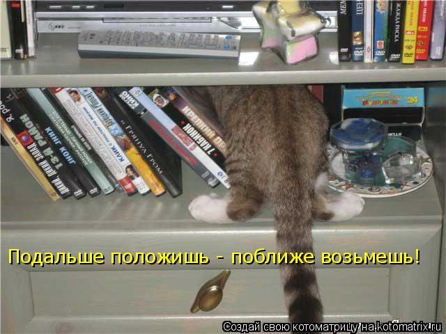 Подальше положишь - поближе возьмешь!... Котоматрица: Подальше положишь - поближе возьмешь!