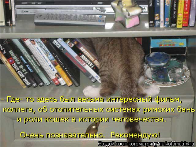 - Где- то здесь был весьма интересный фильм, коллега, об отопительных системах римских бань. Очень п... Котоматрица: - Где- то здесь был весьма интересный фильм, коллега, об отопительных системах римских бань. Очень познавательно. Рекомендую! и роли кошек в
