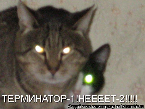 ТЕРМИНАТОР-1!НЕЕЕЕТ-2!!!!!... Котоматрица: ТЕРМИНАТОР-1!НЕЕЕЕТ-2!!!!!