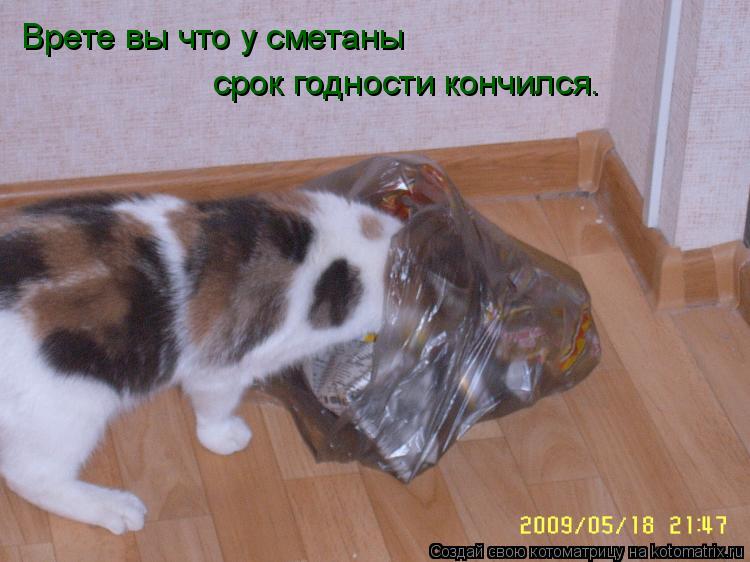 Врете вы что у сметаны срок годности кончился… Врете вы что у сметаны срок годности кончился…... Котоматрица: Врете вы что у сметаны срок годности кончился… Врете вы что у сметаны срок годности кончился…