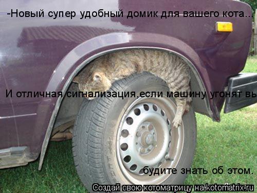 -Новый супер удобный домик для вашего кота... И отличная сигнализация,если машину угонят вы будите з... Котоматрица: -Новый супер удобный домик для вашего кота... И отличная сигнализация,если машину угонят вы будите знать об этом.