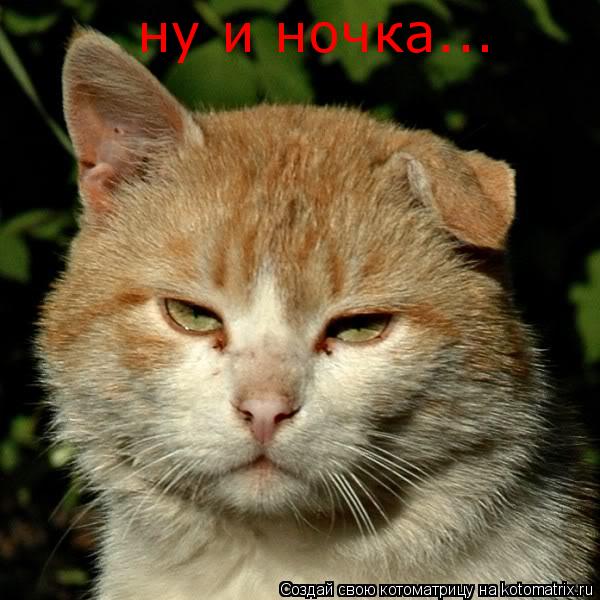 ну и ночка...... Котоматрица: ну и ночка...