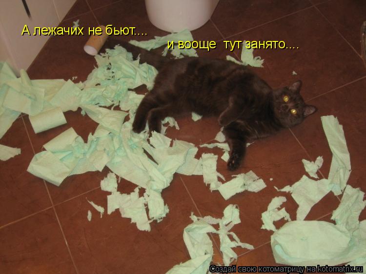 А лежачих не бьют.... и вооще тут занято....... Котоматрица: А лежачих не бьют.... и вооще тут занято....