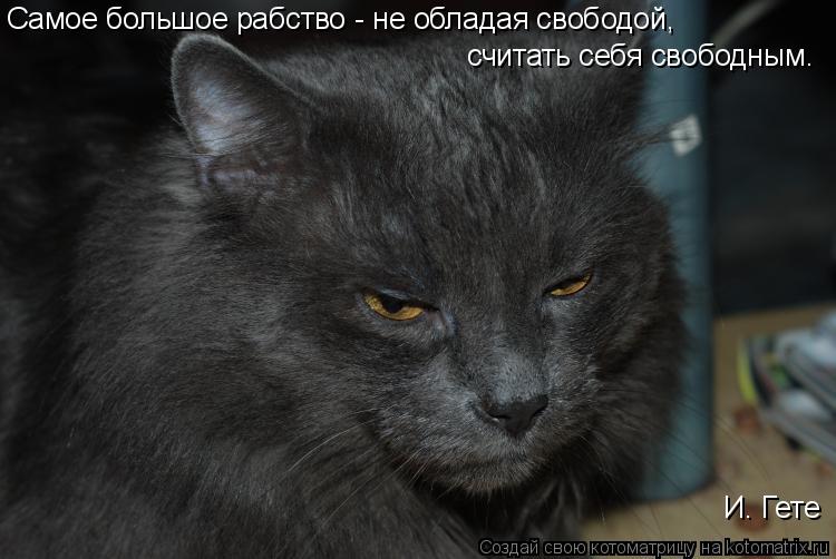 Котоматрица: Самое большое рабство - не обладая свободой, считать себя свободным.  И. Гете