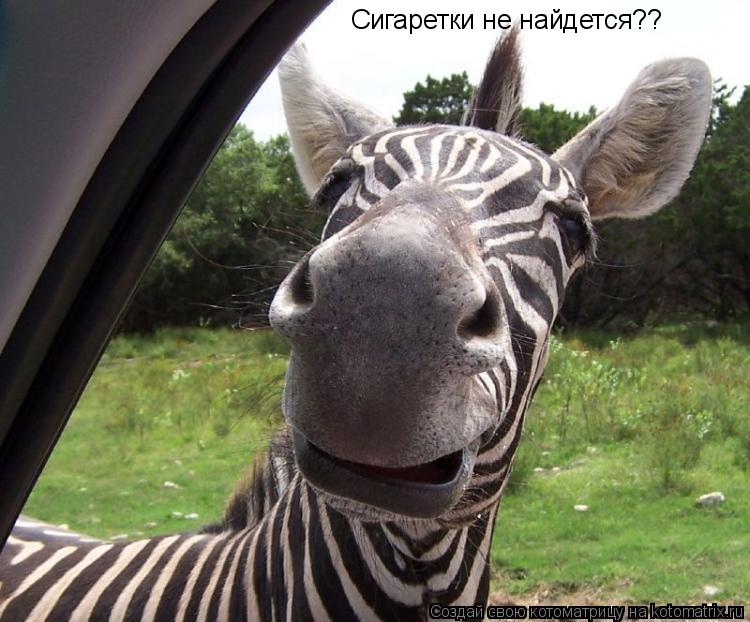 Котоматрица: Сигаретки не найдется??