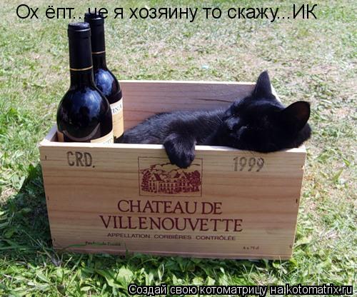 Котоматрица: Ох ёпт...че я хозяину то скажу...ИК