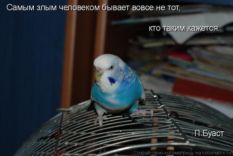 Самым злым человеком бывает вовсе не тот, кто таким кажется. П.Буаст... Котоматрица: Самым злым человеком бывает вовсе не тот, кто таким кажется. П.Буаст