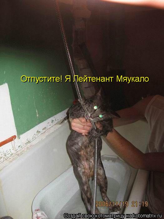 Отпустите! Я Лейтенант Мяукало... Котоматрица: Отпустите! Я Лейтенант Мяукало