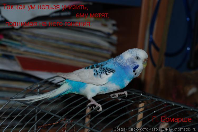 Так как ум нельзя унизить, ему мстят, поднимая на него гонения. П. Бомарше... Котоматрица: Так как ум нельзя унизить, ему мстят, поднимая на него гонения. П. Бомарше