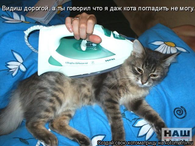 Видиш дорогой, а ты говорил что я даж кота погладить не могу...... Котоматрица: Видиш дорогой, а ты говорил что я даж кота погладить не могу...