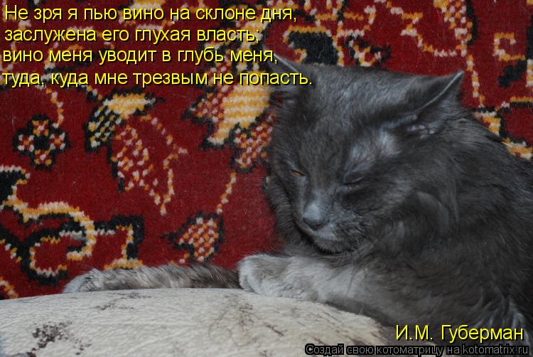 Не зря я пью вино на склоне дня, заслужена его глухая власть; вино меня уводит в глубь меня, туда, ... Котоматрица: Не зря я пью вино на склоне дня, заслужена его глухая власть; вино меня уводит в глубь меня, туда, куда мне трезвым не попасть. И.М. Губерман