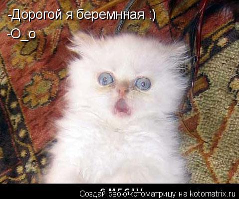 -Дорогой я беремнная :) -О_о... Котоматрица: -Дорогой я беремнная :) -О_о