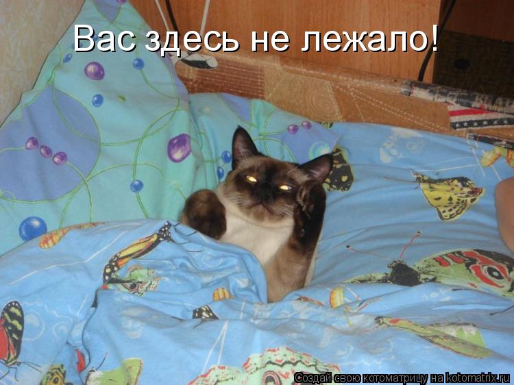 Вас здесь не лежало!... Котоматрица: Вас здесь не лежало!