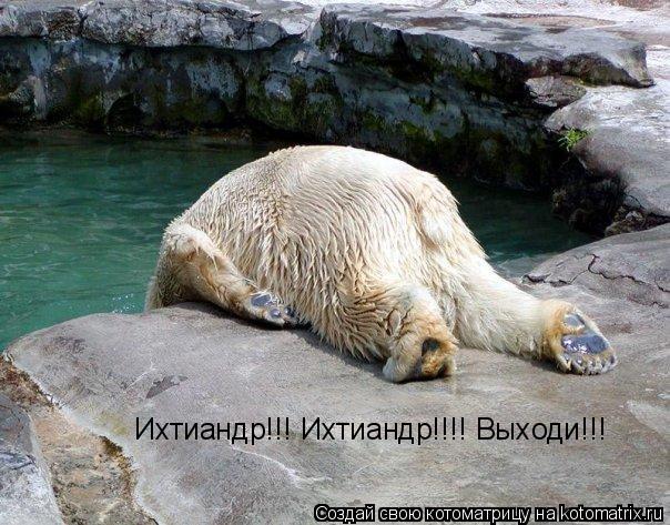 Ихтиандр!!! Ихтиандр!!!! Выходи!!!... Котоматрица: Ихтиандр!!! Ихтиандр!!!! Выходи!!!