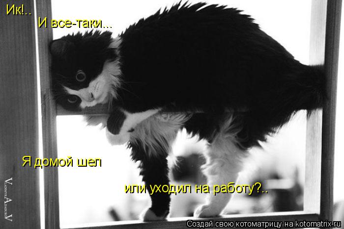 Ик!.. И все-таки... Я домой шел или уходил на работу?..... Котоматрица: Ик!.. И все-таки... Я домой шел или уходил на работу?..