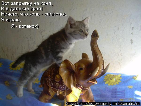 Вот запрыгну на коня, И в далекие края! Ничего, что конь - слоненок, Я играю, Я - котенок)... Котоматрица: Вот запрыгну на коня, И в далекие края! Ничего, что конь - слоненок, Я играю, Я - котенок)
