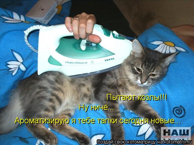 Пытают козлы!!! Ну ничё... Ароматизирую я тебе тапки сегодня новые...... Котоматрица: Пытают козлы!!! Ну ничё... Ароматизирую я тебе тапки сегодня новые...