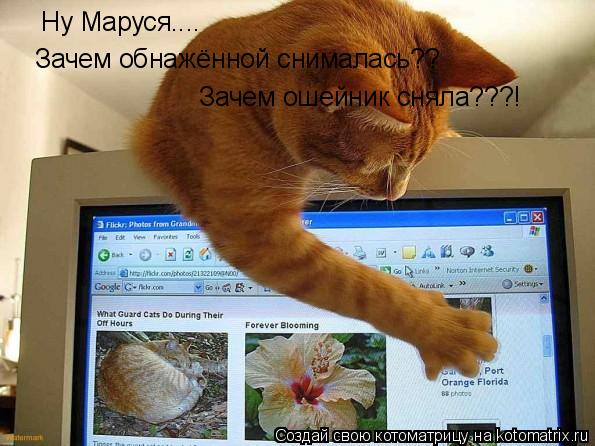 Ну Маруся.... Зачем обнажённой снималась?? Зачем ошейник сняла???!... Котоматрица: Ну Маруся.... Зачем обнажённой снималась?? Зачем ошейник сняла???!