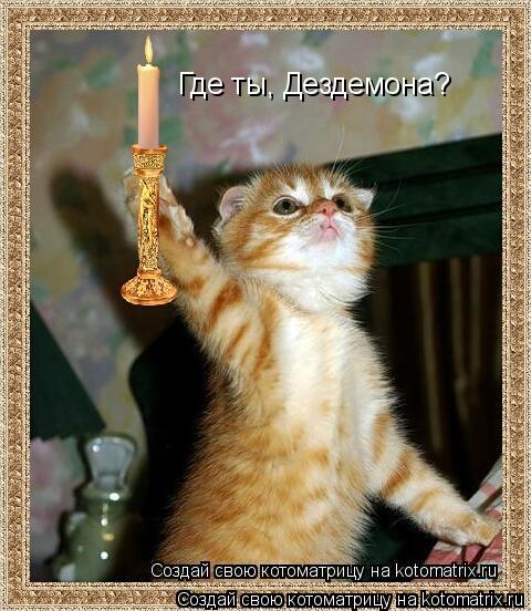 Где ты, Дездемона?... Котоматрица: Где ты, Дездемона?